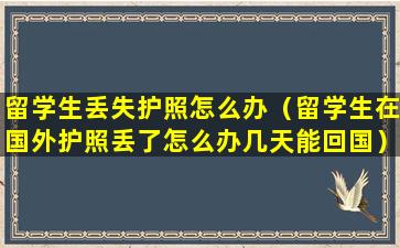 留学生丢失护照怎么办（留学生在国外护照丢了怎么办几天能回国）