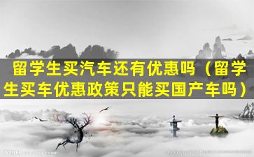 留学生买汽车还有优惠吗（留学生买车优惠政策只能买国产车吗）