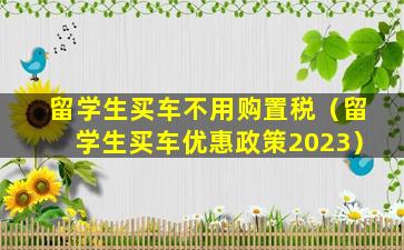 留学生买车不用购置税（留学生买车优惠政策2023）