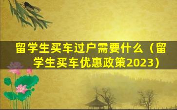 留学生买车过户需要什么（留学生买车优惠政策2023）