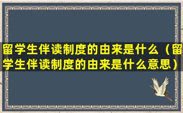 留学生伴读制度的由来是什么（留学生伴读制度的由来是什么意思）