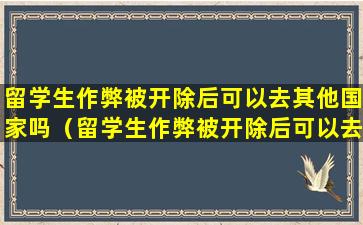 留学生作弊被开除后可以去其他国家吗（留学生作弊被开除后可以去其他国家吗知乎）