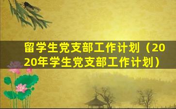留学生党支部工作计划（2020年学生党支部工作计划）