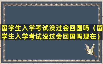 留学生入学考试没过会回国吗（留学生入学考试没过会回国吗现在）