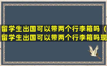 留学生出国可以带两个行李箱吗（留学生出国可以带两个行李箱吗现在）