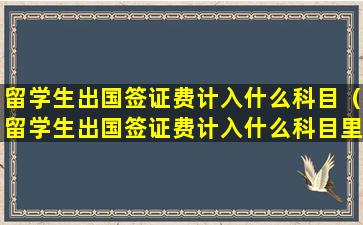 留学生出国签证费计入什么科目（留学生出国签证费计入什么科目里面）