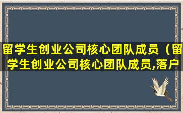 留学生创业公司核心团队成员（留学生创业公司核心团队成员,落户,怎么评判）