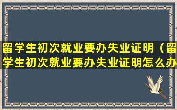 留学生初次就业要办失业证明（留学生初次就业要办失业证明怎么办）