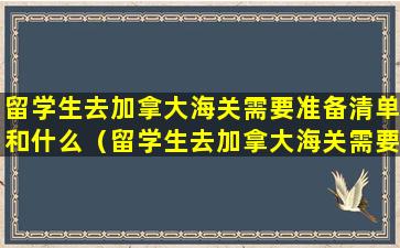 留学生去加拿大海关需要准备清单和什么（留学生去加拿大海关需要准备清单和什么东西）