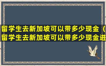 留学生去新加坡可以带多少现金（留学生去新加坡可以带多少现金进去）