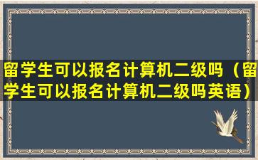 留学生可以报名计算机二级吗（留学生可以报名计算机二级吗英语）