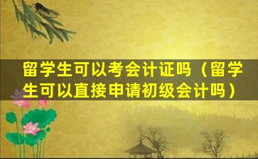 留学生可以考会计证吗（留学生可以直接申请初级会计吗）