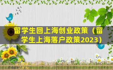 留学生回上海创业政策（留学生上海落户政策2023）