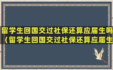 留学生回国交过社保还算应届生吗（留学生回国交过社保还算应届生吗怎么办）