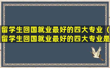 留学生回国就业最好的四大专业（留学生回国就业最好的四大专业是什么）