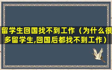 留学生回国找不到工作（为什么很多留学生,回国后都找不到工作）