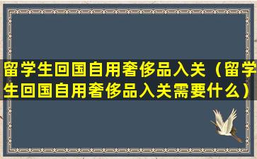 留学生回国自用奢侈品入关（留学生回国自用奢侈品入关需要什么）