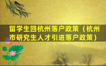 留学生回杭州落户政策（杭州市研究生人才引进落户政策）