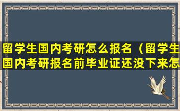 留学生国内考研怎么报名（留学生国内考研报名前毕业证还没下来怎么办）