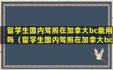 留学生国内驾照在加拿大bc能用吗（留学生国内驾照在加拿大bc能用吗现在）