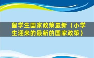 留学生国家政策最新（小学生迎来的最新的国家政策）