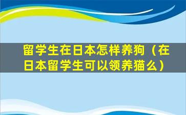 留学生在日本怎样养狗（在日本留学生可以领养猫么）