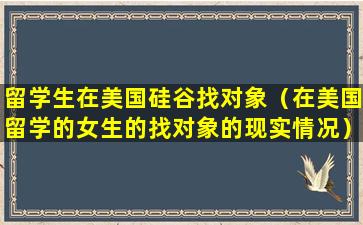 留学生在美国硅谷找对象（在美国留学的女生的找对象的现实情况）