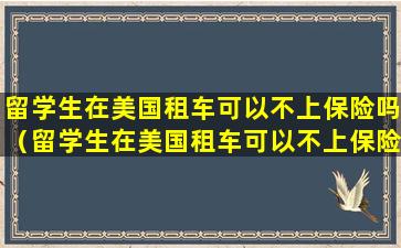 留学生在美国租车可以不上保险吗（留学生在美国租车可以不上保险吗知乎）