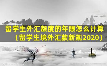 留学生外汇额度的年限怎么计算（留学生境外汇款新规2020）