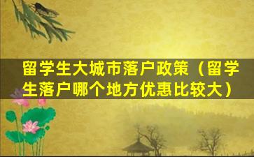 留学生大城市落户政策（留学生落户哪个地方优惠比较大）