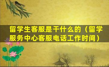 留学生客服是干什么的（留学服务中心客服电话工作时间）