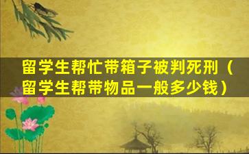 留学生帮忙带箱子被判死刑（留学生帮带物品一般多少钱）