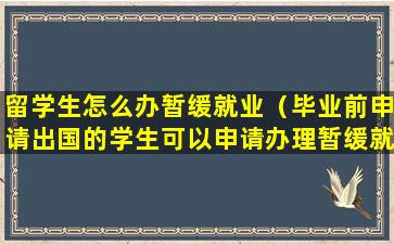 留学生怎么办暂缓就业（毕业前申请出国的学生可以申请办理暂缓就业）
