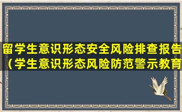 留学生意识形态安全风险排查报告（学生意识形态风险防范警示教育活动有哪些方案或措施）