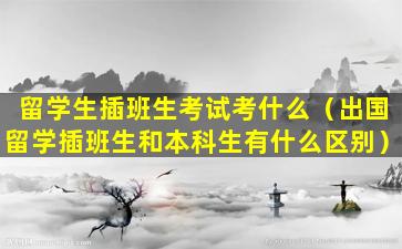 留学生插班生考试考什么（出国留学插班生和本科生有什么区别）