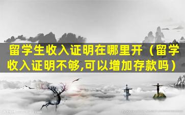 留学生收入证明在哪里开（留学收入证明不够,可以增加存款吗）