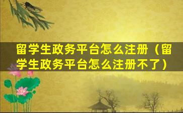 留学生政务平台怎么注册（留学生政务平台怎么注册不了）