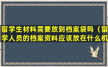 留学生材料需要放到档案袋吗（留学人员的档案资料应该放在什么机构）
