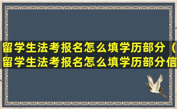 留学生法考报名怎么填学历部分（留学生法考报名怎么填学历部分信息）