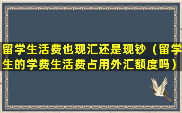 留学生活费也现汇还是现钞（留学生的学费生活费占用外汇额度吗）