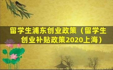 留学生浦东创业政策（留学生创业补贴政策2020上海）