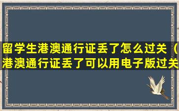 留学生港澳通行证丢了怎么过关（港澳通行证丢了可以用电子版过关吗）