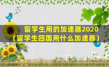 留学生用的加速器2020（留学生回国用什么加速器）