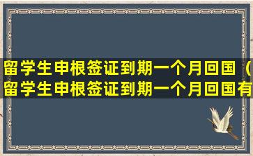 留学生申根签证到期一个月回国（留学生申根签证到期一个月回国有影响吗）