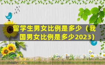 留学生男女比例是多少（我国男女比例是多少2023）