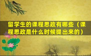 留学生的课程思政有哪些（课程思政是什么时候提出来的）