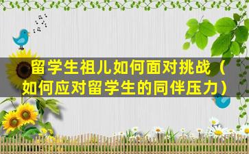 留学生祖儿如何面对挑战（如何应对留学生的同伴压力）