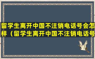 留学生离开中国不注销电话号会怎样（留学生离开中国不注销电话号会怎样处理）