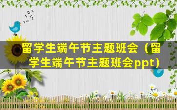 留学生端午节主题班会（留学生端午节主题班会ppt）