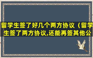 留学生签了好几个两方协议（留学生签了两方协议,还能再签其他公司吗）